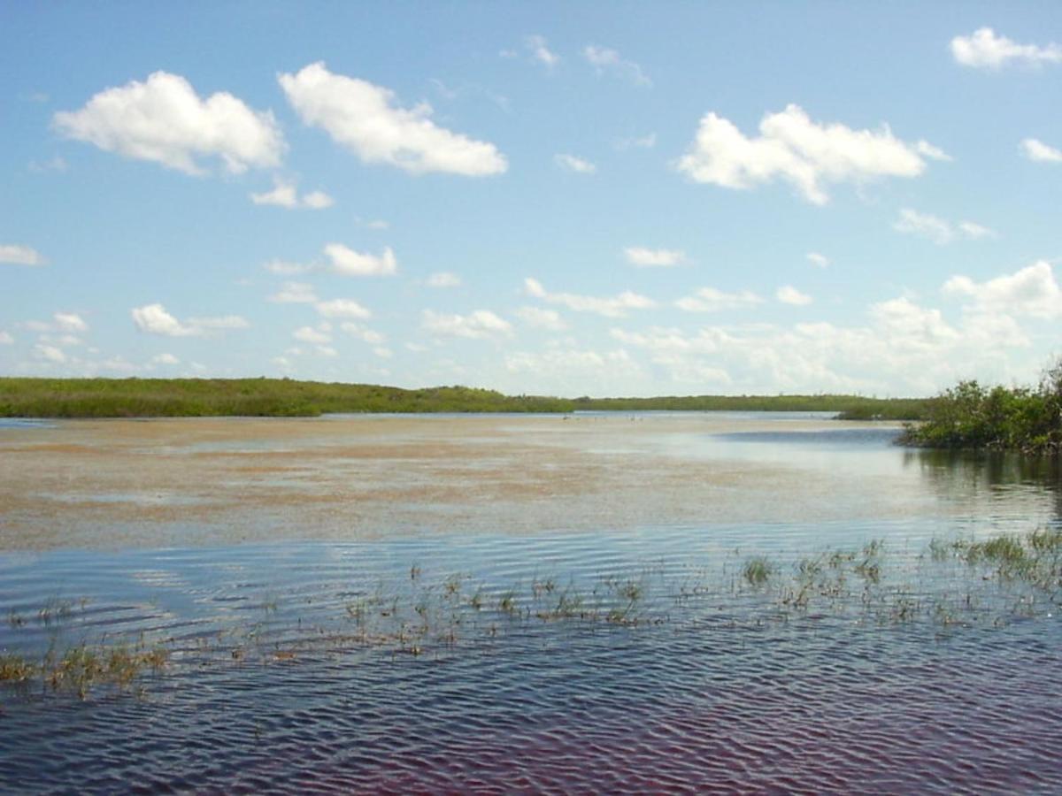 Buttonwood Reserve 1B James Cistern Экстерьер фото